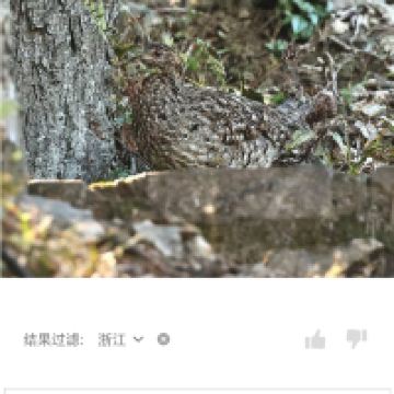 評論圖片 2