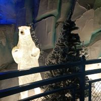 評論圖片 7