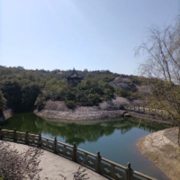 評論圖片 3