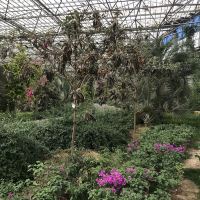 評論圖片 2