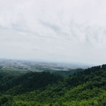 評論圖片 7