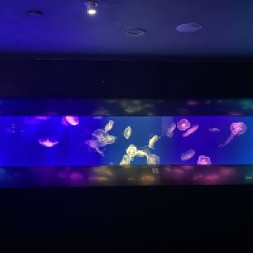 評論圖片 3