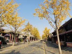 The Scenic Area of Shanhai Pass