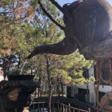 評論圖片 2