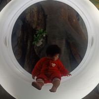 評論圖片 7