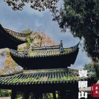 評論圖片 1