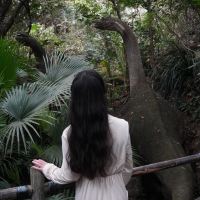 評論圖片 4