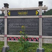 評論圖片 5