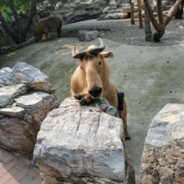 評論圖片 6