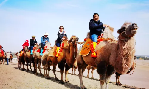 Camel Riding in Dunhuang