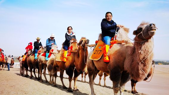 Camel Riding in Dunhuang