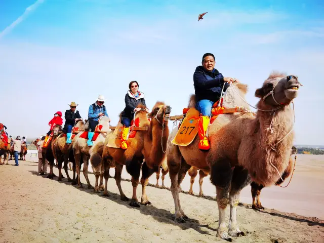 Camel Riding in Dunhuang
