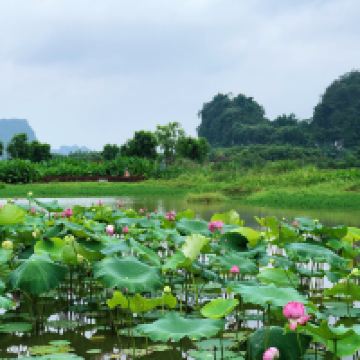 評論圖片 2