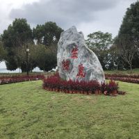評論圖片 6