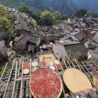 評論圖片 1