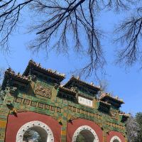 評論圖片 5