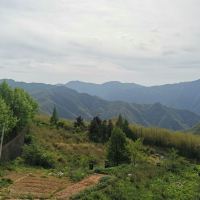 評論圖片 6