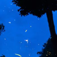 評論圖片 3