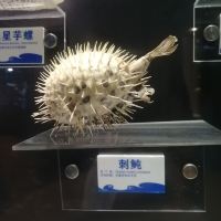 評論圖片 3