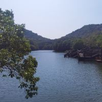 評論圖片 6