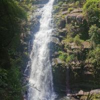 評論圖片 2