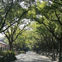 評論圖片 7