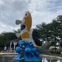 評論圖片 4