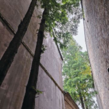 評論圖片 1