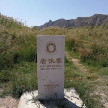評論圖片 8
