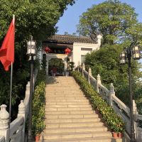 評論圖片 1