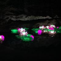 評論圖片 7