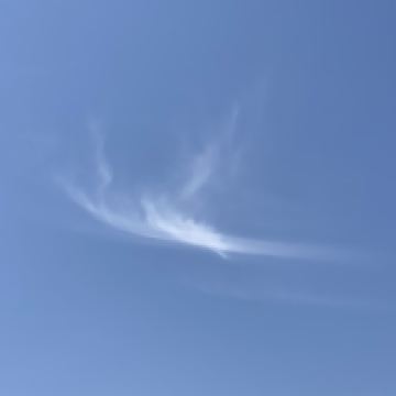評論圖片 7