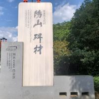 評論圖片 1