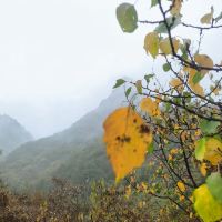 評論圖片 7