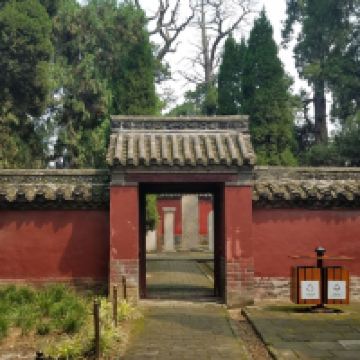 評論圖片 8