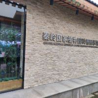 評論圖片 4