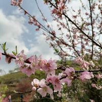評論圖片 5