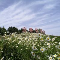 評論圖片 6