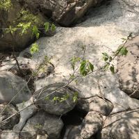 評論圖片 1