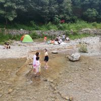 評論圖片 6