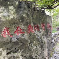評論圖片 5