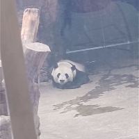 評論圖片 3