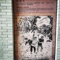 評論圖片 7