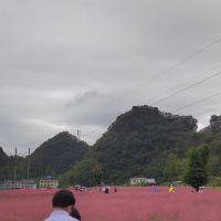 評論圖片 1