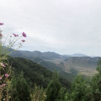 評論圖片 9