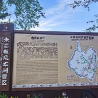 評論圖片 8
