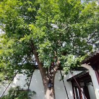 評論圖片 7