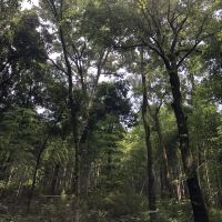 評論圖片 4