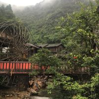評論圖片 1