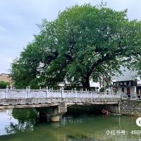 評論圖片 2